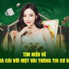 Nhà cái uy tín nhất Việt Nam gọi tên anh tài u88